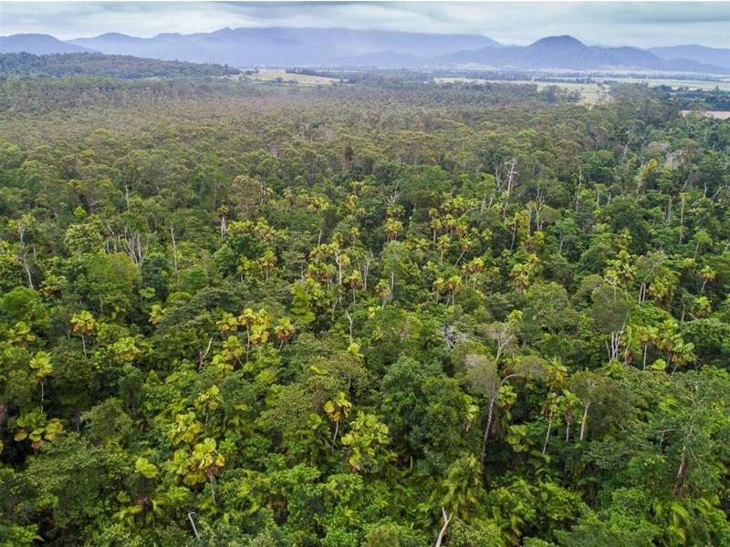 Lot 5, Lot 5 Hayter Road, Maria Creeks QLD 4855