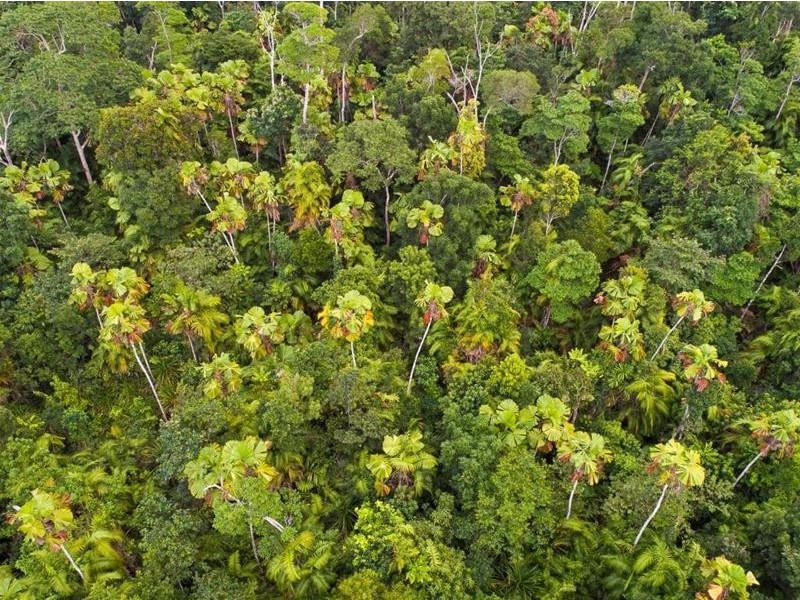 Lot 5, Lot 5 Hayter Road, Maria Creeks QLD 4855