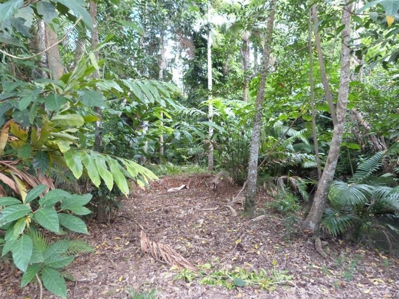 Lot 2 Lindsay Road, Carmoo QLD 4852