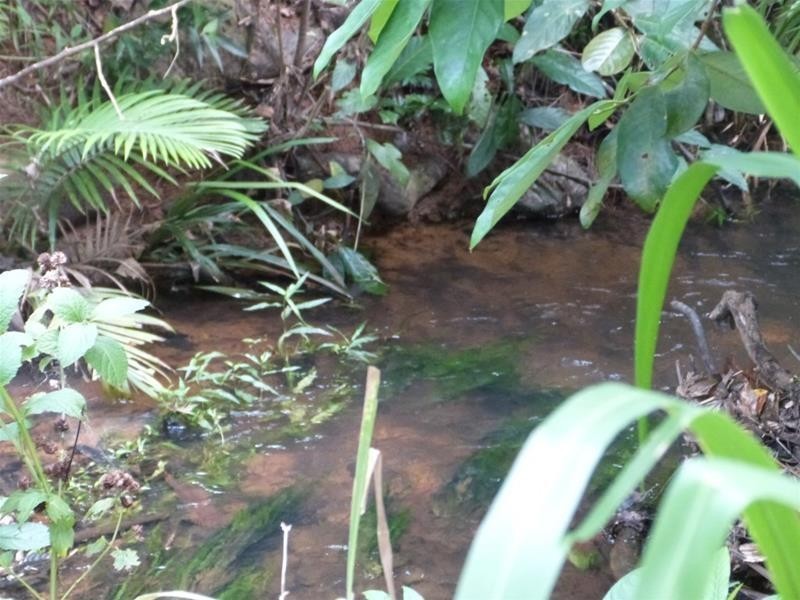 Lot 2 Lindsay Road, Carmoo QLD 4852