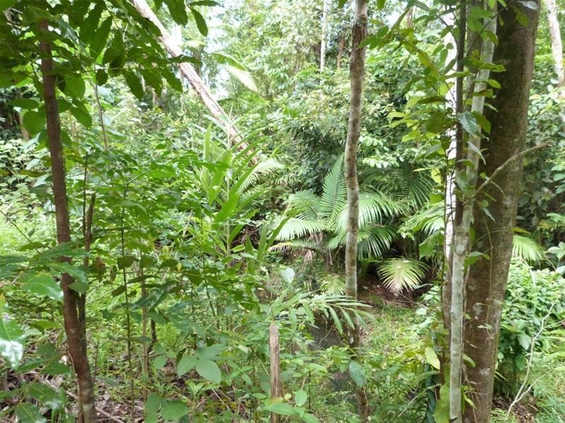 Lot 2 Lindsay Road, Carmoo QLD 4852