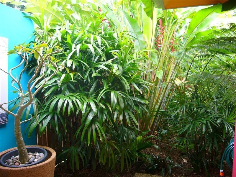 37 Pacific View Drive, Wongaling Beach QLD 4852