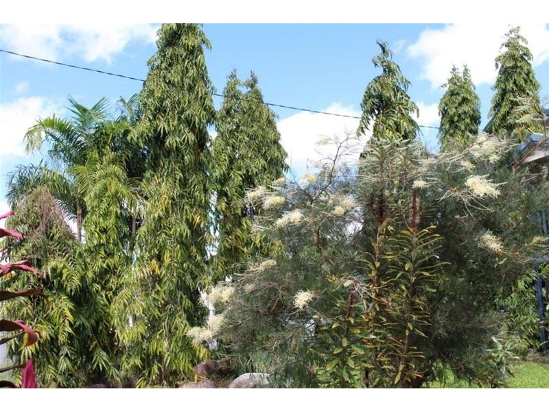 3 Walter Lever Estate Road, Silkwood QLD 4856