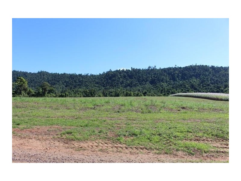 Lot 209 Dixon Road, Friday Pocket QLD 4855