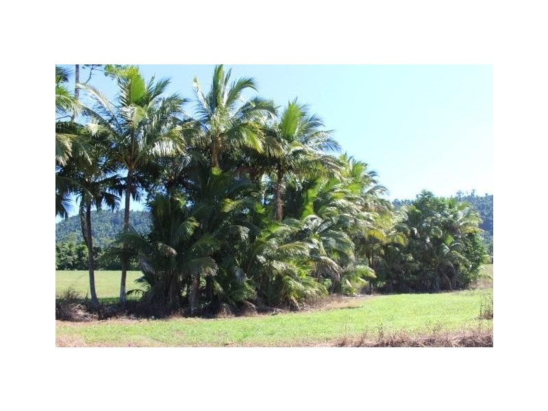 Lot 209 Dixon Road, Friday Pocket QLD 4855