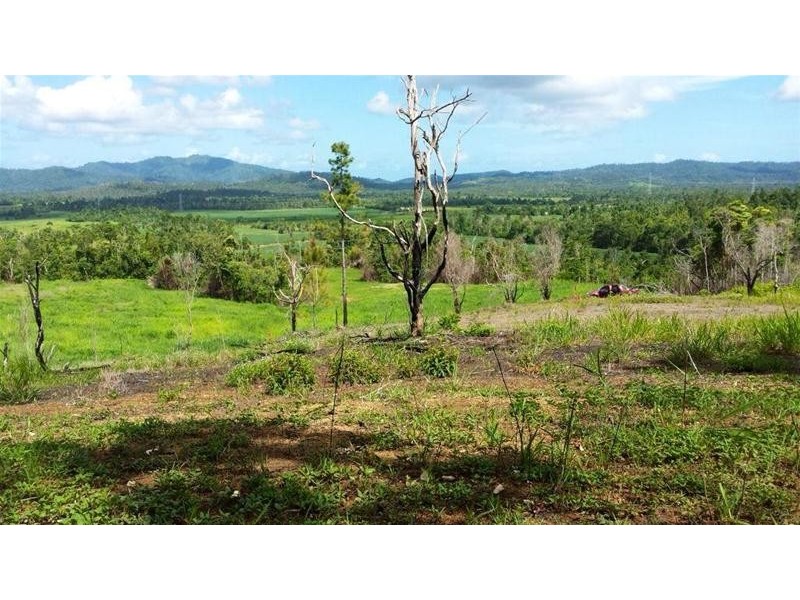 Lot 209 Dixon Road, Friday Pocket QLD 4855