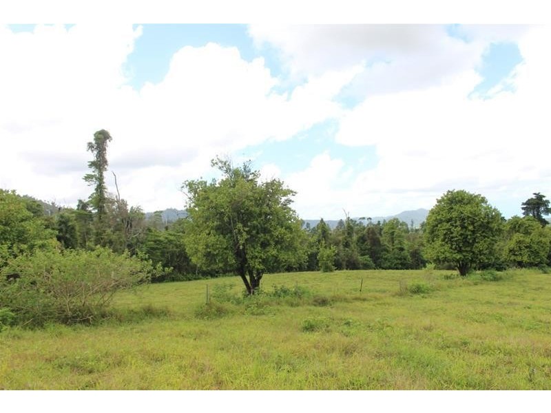Lot 102 Old Tully Road, Feluga QLD 4854