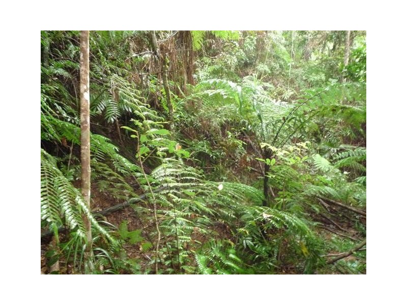 Lot 214, 256 Dixon Road, Mission Beach QLD 4852