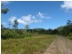 Lot 214, 256 Dixon Road, Mission Beach QLD 4852