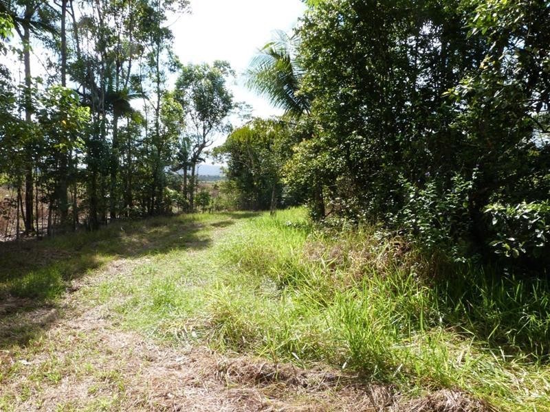 Lot 214, 256 Dixon Road, Mission Beach QLD 4852