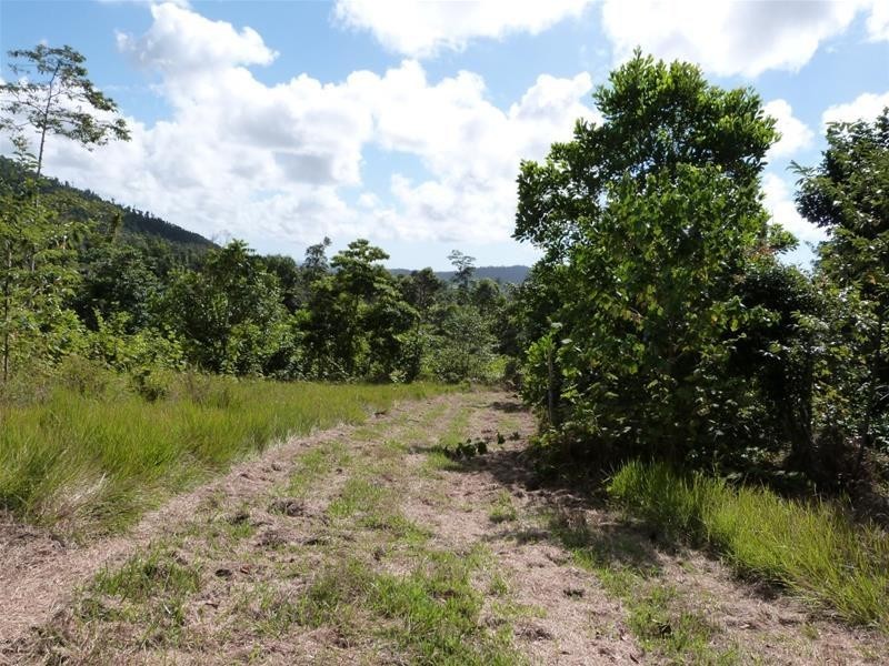 Lot 214, 256 Dixon Road, Mission Beach QLD 4852