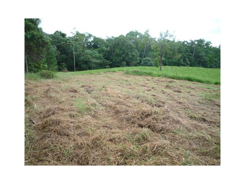 Lot 214, 256 Dixon Road, Mission Beach QLD 4852
