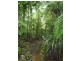 Lot 214, 256 Dixon Road, Mission Beach QLD 4852