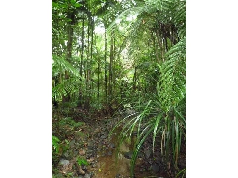 Lot 214, 256 Dixon Road, Mission Beach QLD 4852