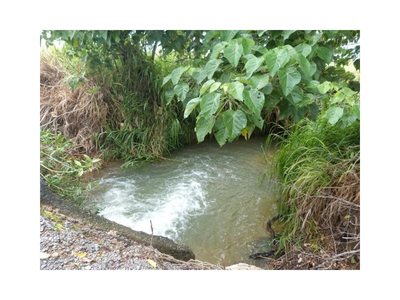 Lot/209 Dixon Road, Friday Pocket QLD 4855