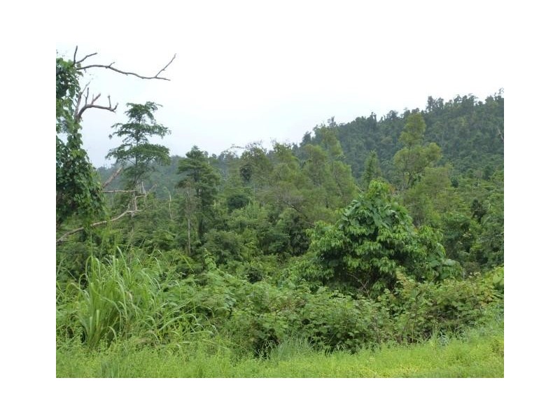 Lot/209 Dixon Road, Friday Pocket QLD 4855