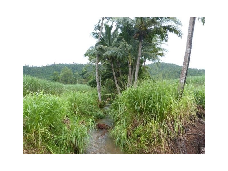 Lot/209 Dixon Road, Friday Pocket QLD 4855