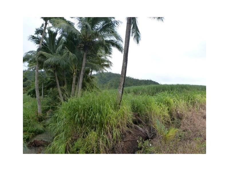 Lot/209 Dixon Road, Friday Pocket QLD 4855