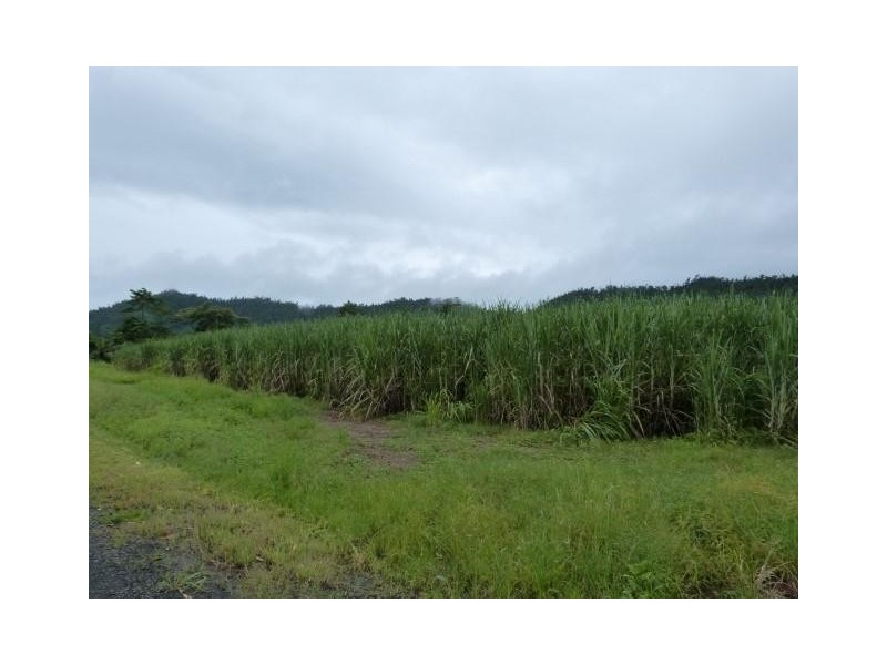 Lot/209 Dixon Road, Friday Pocket QLD 4855