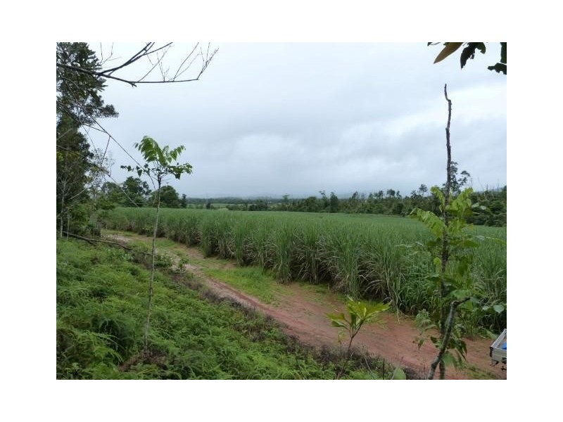 Lot/209 Dixon Road, Friday Pocket QLD 4855