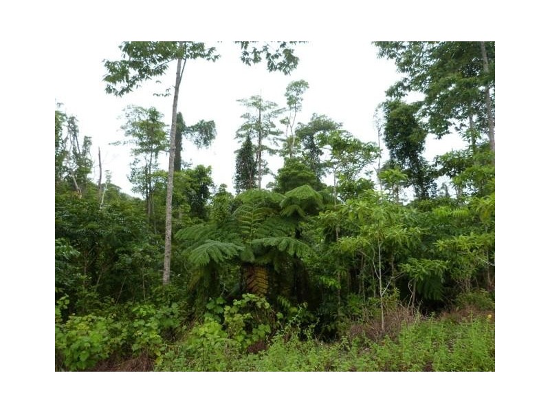 Lot/209 Dixon Road, Friday Pocket QLD 4855