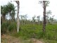 Lot Lot 26, 26 McIntosh Road, East Feluga QLD 4854