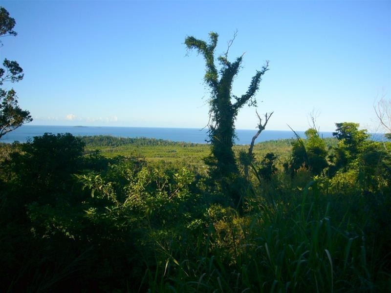 13 Frizelle Road, Bingil Bay QLD 4852