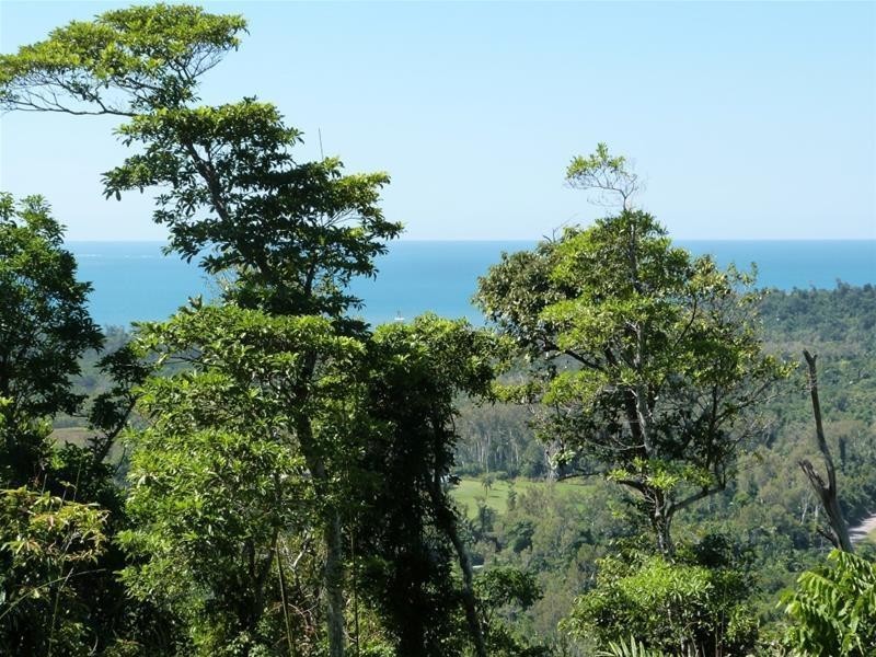 13 Frizelle Road, Bingil Bay QLD 4852