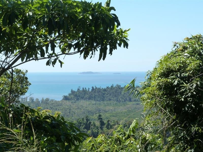 13 Frizelle Road, Bingil Bay QLD 4852