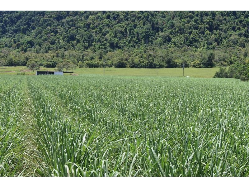 Lot 3 Friday Pocket Road, Maadi QLD 4855