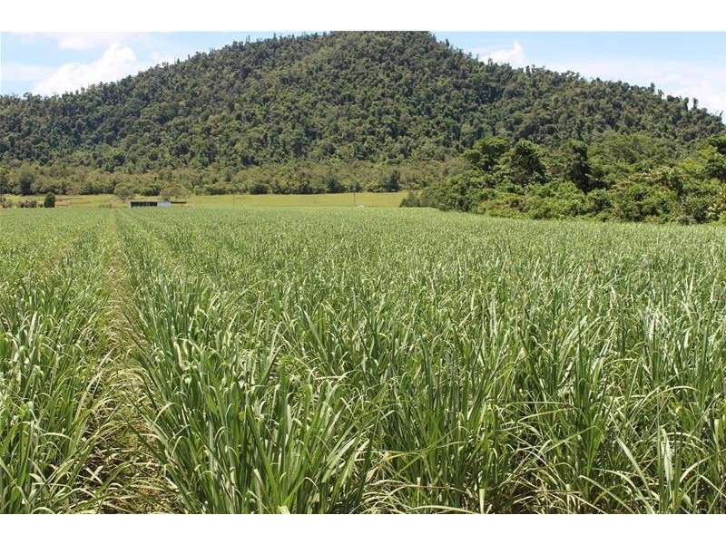 Lot 3 Friday Pocket Road, Maadi QLD 4855