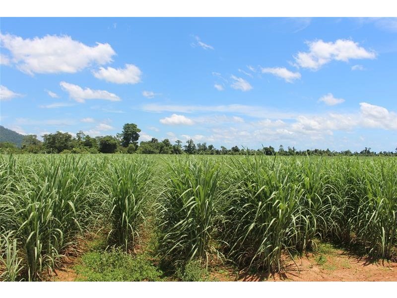 Lot 3 Friday Pocket Road, Maadi QLD 4855