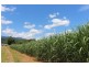 Lot 3 Friday Pocket Road, Maadi QLD 4855