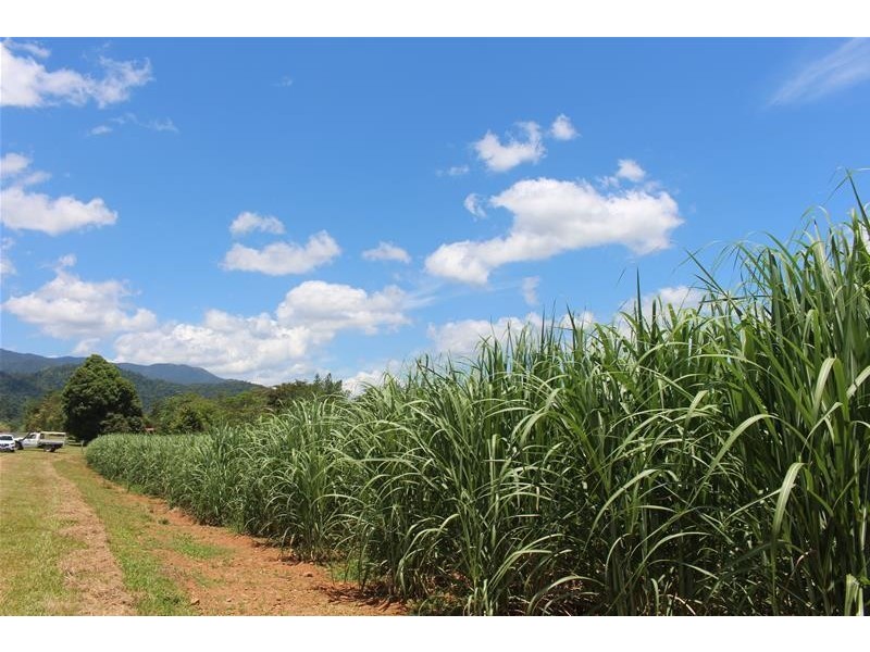 Lot 3 Friday Pocket Road, Maadi QLD 4855