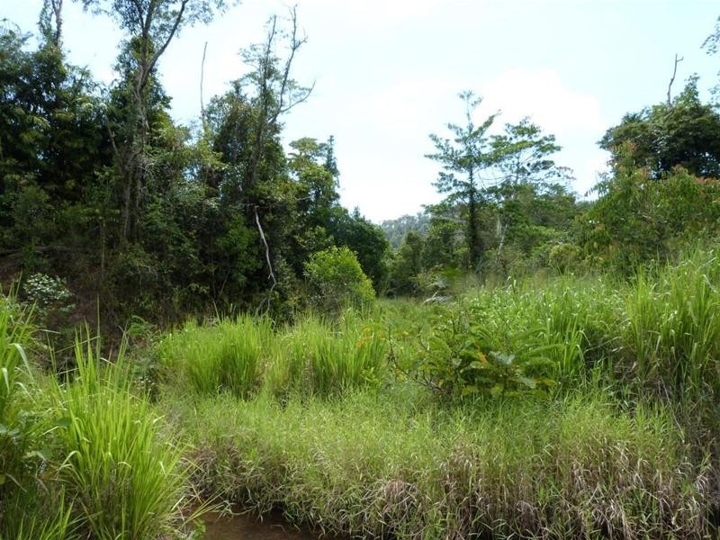 Lot 402 Granadilla Road, Granadilla QLD 4855