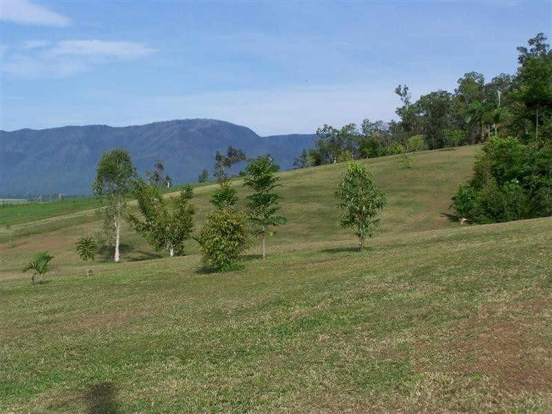 60 South Davidson Road, Munro Plains QLD 4854