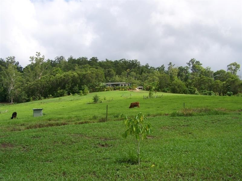 60 South Davidson Road, Munro Plains QLD 4854