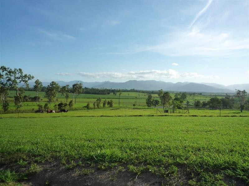 60 South Davidson Road, Munro Plains QLD 4854