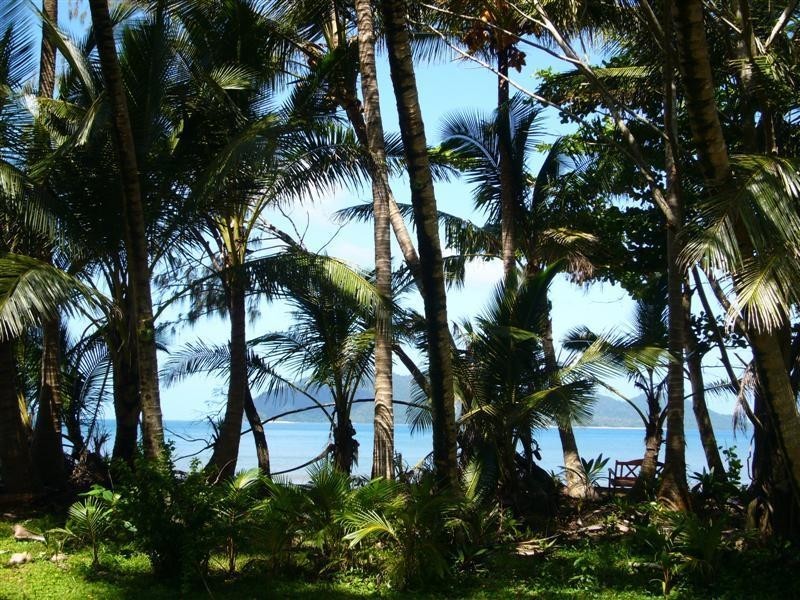 16 McNamara Street, Wongaling Beach QLD 4852