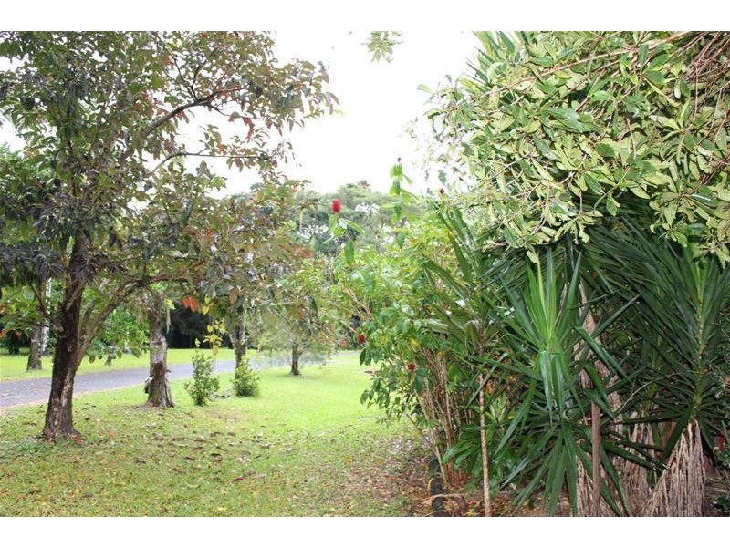 18 Albert Street, Silkwood QLD 4856