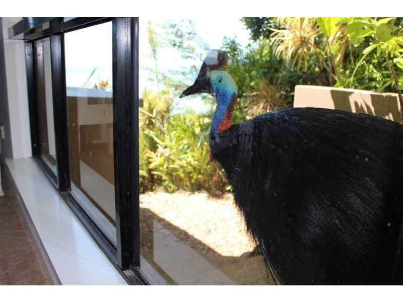 2 Explorers Drive, South Mission Beach QLD 4852