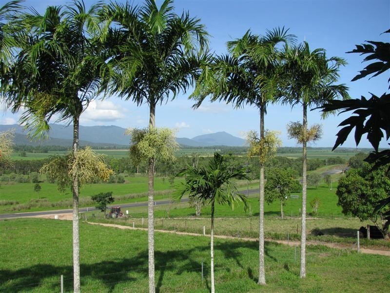 1709 Davidson Road, Munro Plains QLD 4854