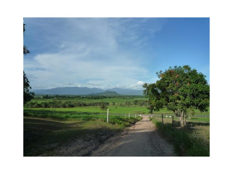 1709 Davidson Road, Munro Plains QLD 4854