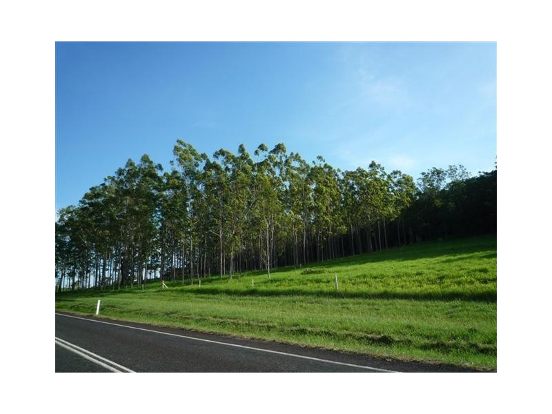 1709 Davidson Road, Munro Plains QLD 4854