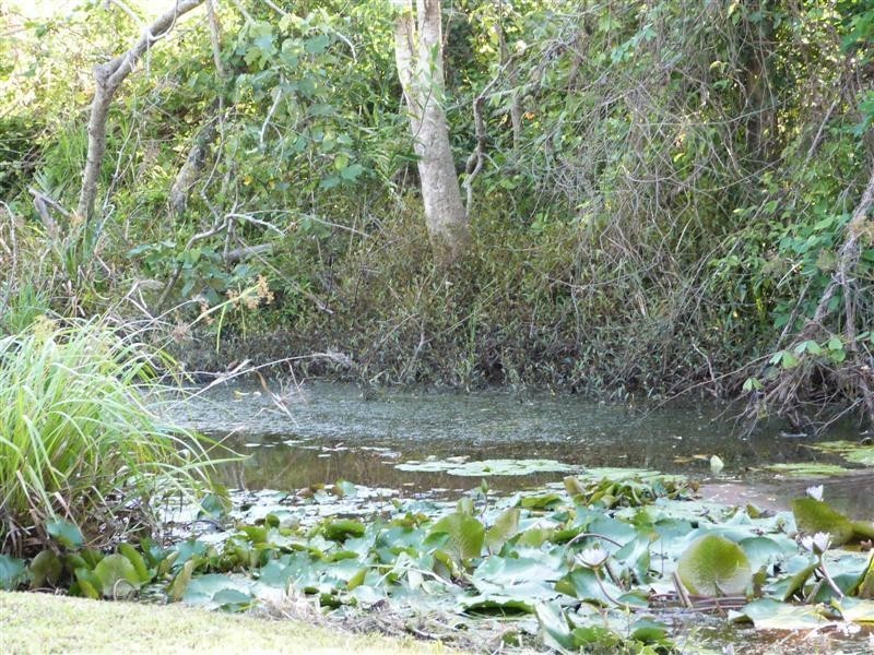 5 Bunting Street, Wongaling Beach QLD 4852