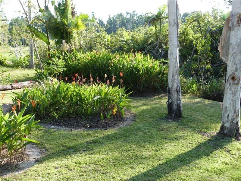 5 Bunting Street, Wongaling Beach QLD 4852