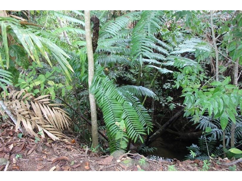 56 Bamber Street, Tully QLD 4854