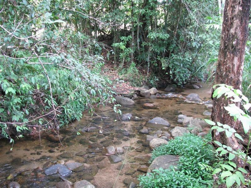 152 Bulgun Road, Bulgun QLD 4854