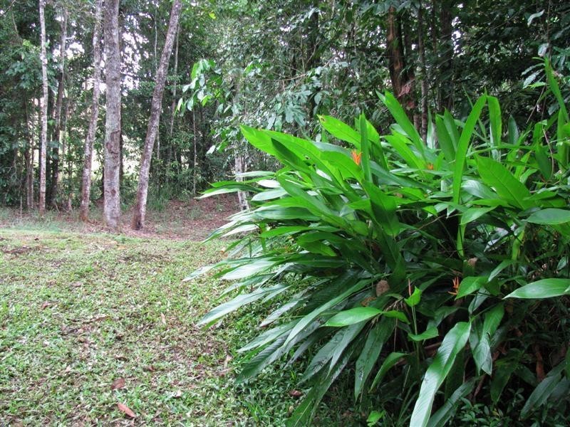 152 Bulgun Road, Bulgun QLD 4854