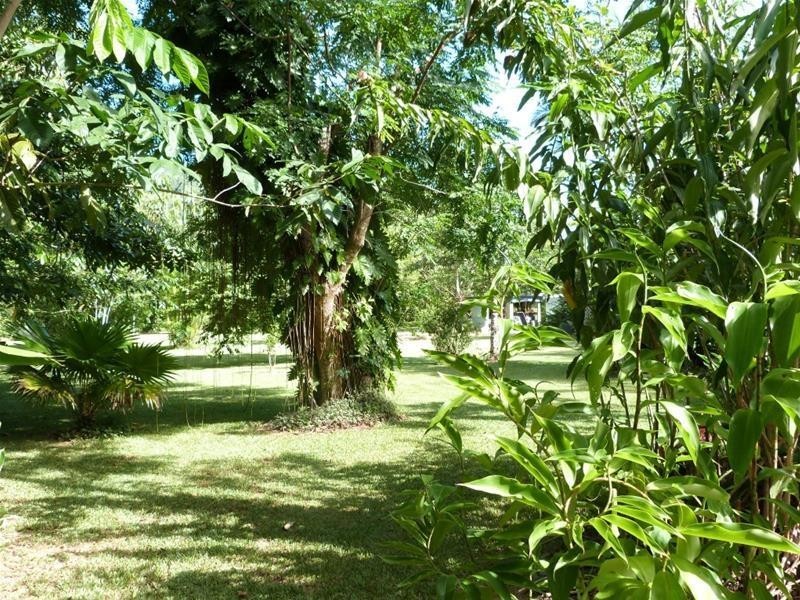 1245 Old Tully Road, El Arish QLD 4855